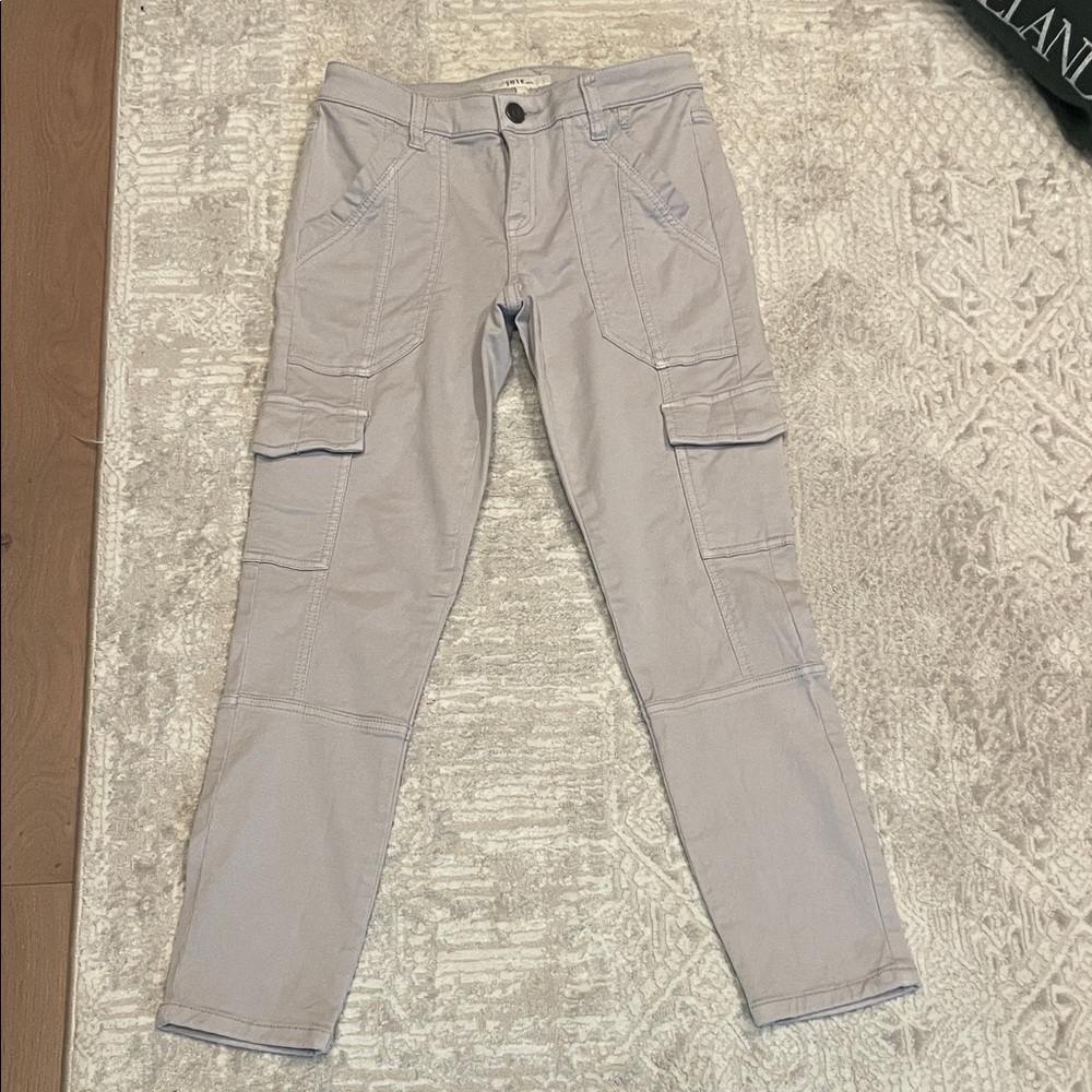 Joie Light Gray Men's Cargo Pants